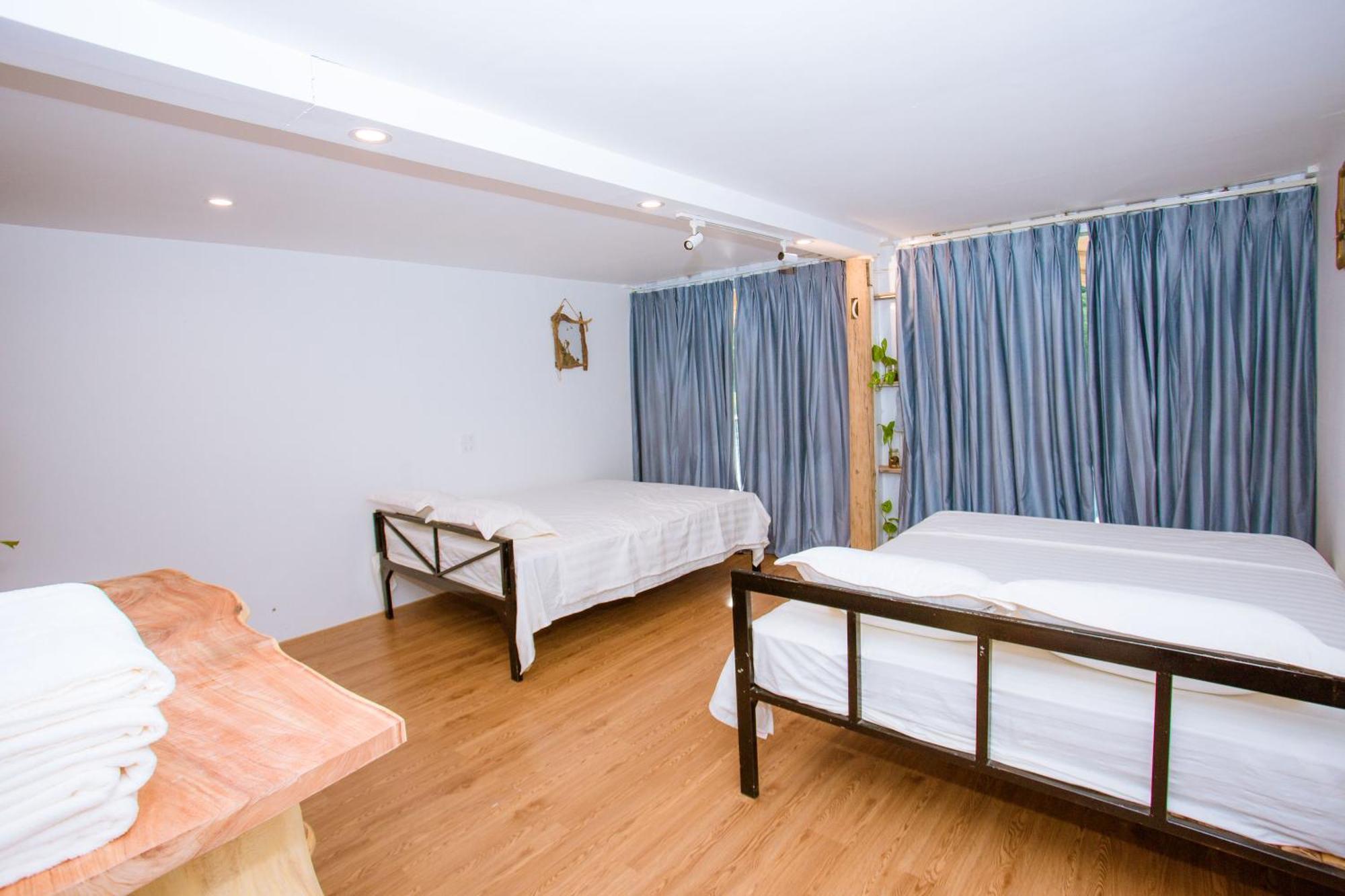 Phong Nha A Little Leaf Homestay Exterior foto