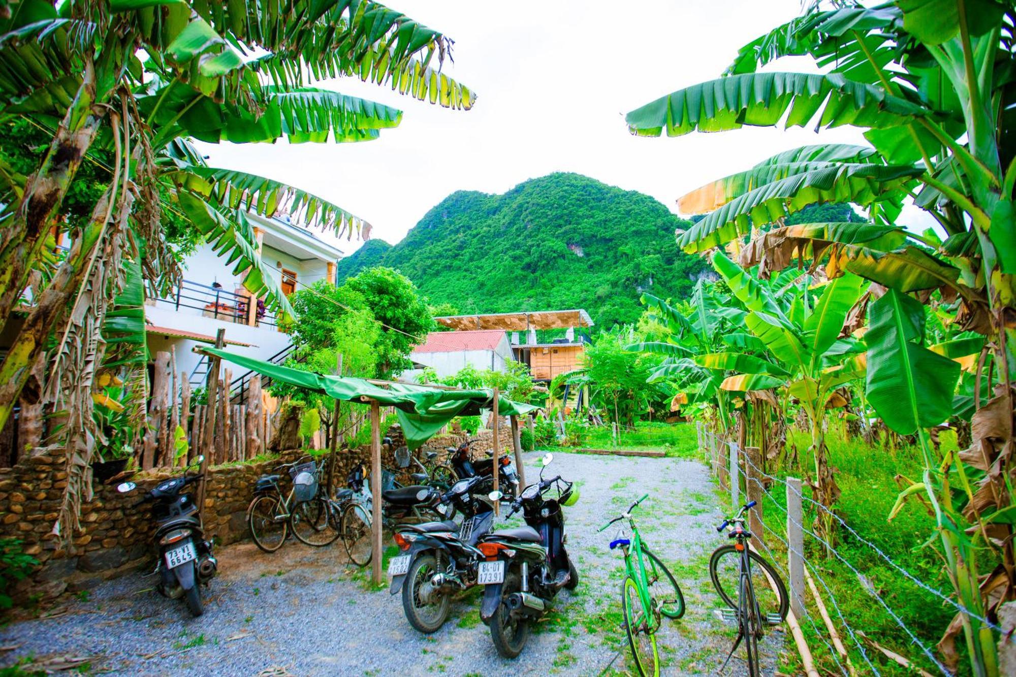 Phong Nha A Little Leaf Homestay Exterior foto